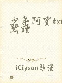 少年阿宾txt阅读