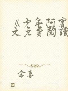 《少年阿宾》全文免费阅读封面