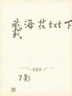 藏海花txt下载
