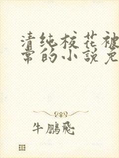 清纯校花被擒日常的小说免费阅读