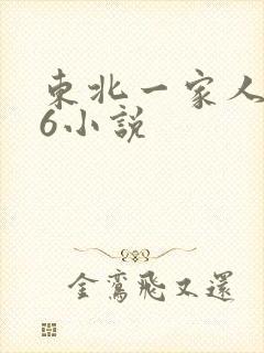 东北一家人1一6小说