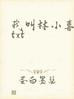 我叫林小喜小说txt