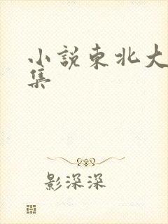 小说东北大炕全集封面