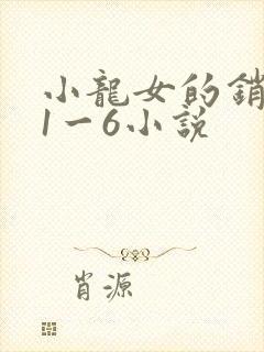 小龙女的销魂夜1一6小说