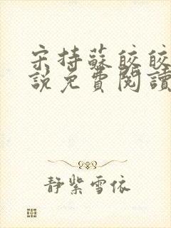 宋持苏皎皎的小说免费阅读