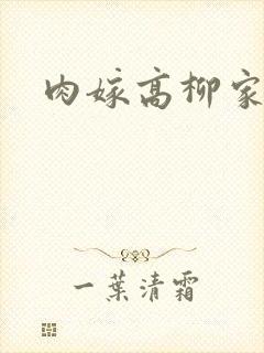 肉嫁高柳家2封面