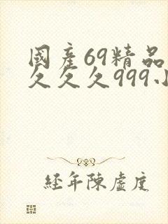 国产69精品久久久久999小说