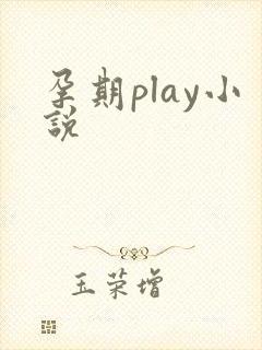 孕期play小说