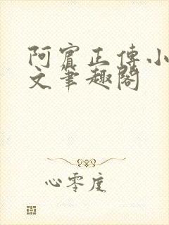 阿宾正传小说全文笔趣阁