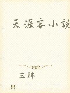 天涯客小说封面