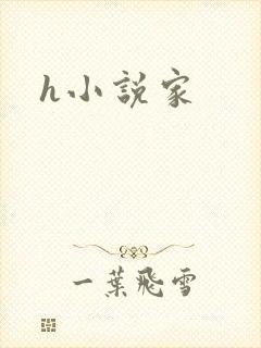 h小说家