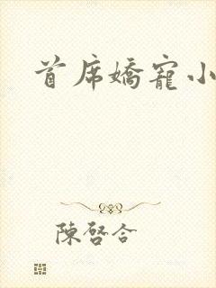 首席娇宠小情人