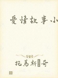 爱情故事小说