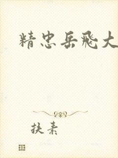 精忠岳飞大结局