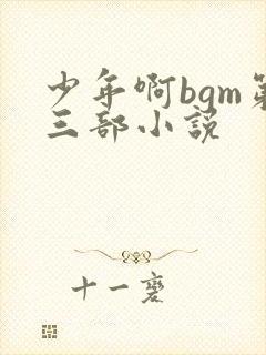 少年啊bgm第三部小说