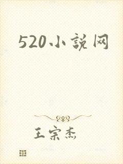 520小说网