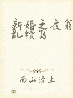 新婚之夜翁莹情乱续写