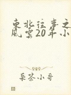 东北往事之黑道风云20年小说