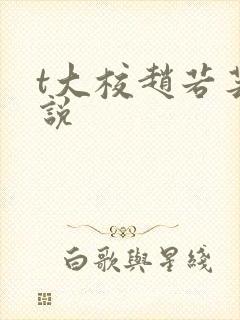 t大校赵若芸小说封面