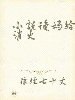 小说后妈给我消消火