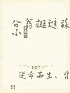 公翁挺进苏玥的小泬