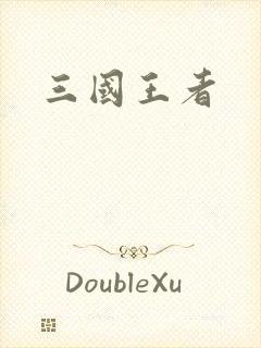 三国王者封面