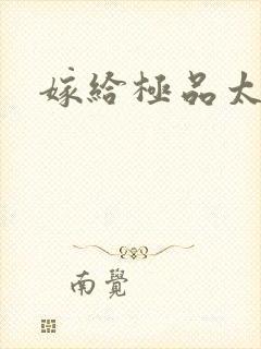 嫁给极品太子封面