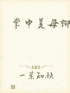 掌中美母柳玉茹封面