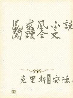 凤求凰小说免费阅读全文