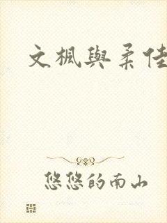 文枫与柔佳封面