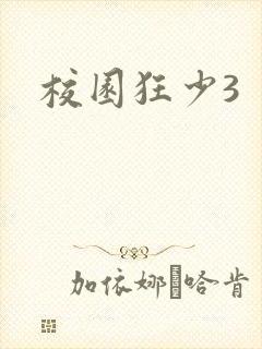 校园狂少3