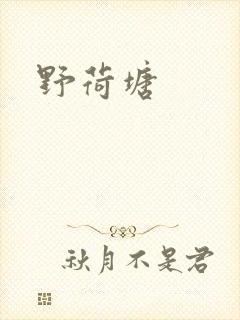野荷塘封面