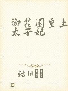 御花园皇上撞着太子妃