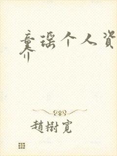 童瑶个人资料简介