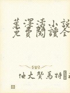 叶泽涛小说全文免费阅读全文