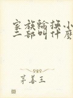 家族轮换小说第二部叫什么名字封面
