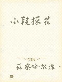 小段探花封面