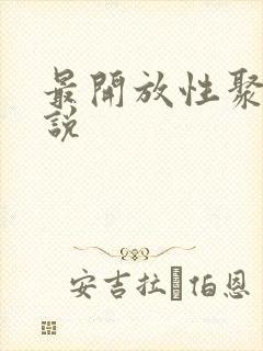 最开放性聚会小说