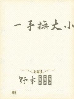 一手抚大小说