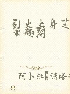 引火上身芝麻糖笔趣阁封面