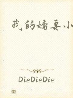 我的娇妻小说