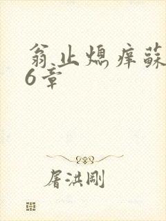 翁止熄痒苏玥第6章