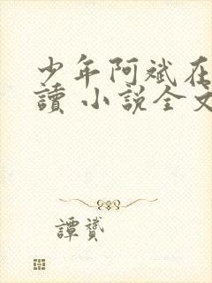 少年阿斌在线阅读 小说全文免费