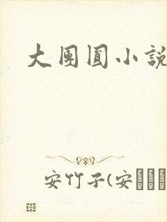 大团圆小说