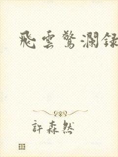 飞云惊澜录