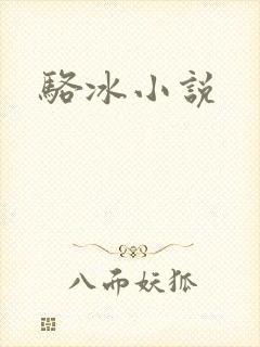 骆冰小说