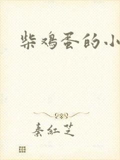 柴鸡蛋的小说