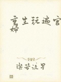 重生玩遍官场贵妇