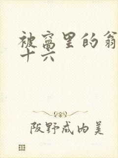 被窝里的翁憩二十六封面