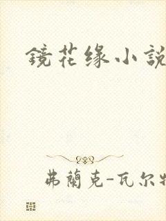 镜花缘小说